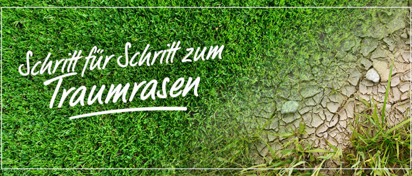 Rostock Gartencenter | Die Frühjahrskur für den Rasen