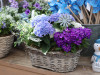 Blauer Korb