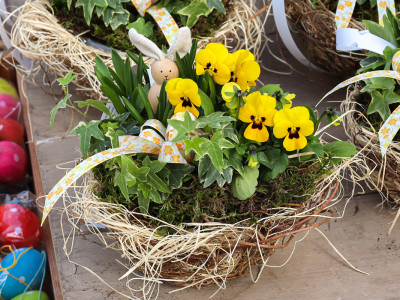 Frühlingsschale mit Stiefmütterchen