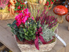 Herbstlich bepflanzter Korb