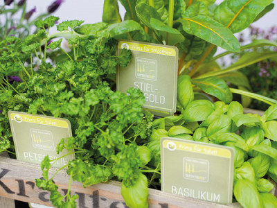 Sunny Herbs Kräuter