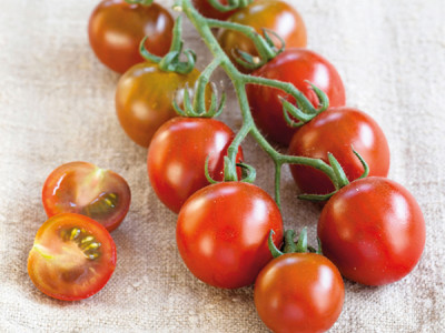 Tomatenpflanzen