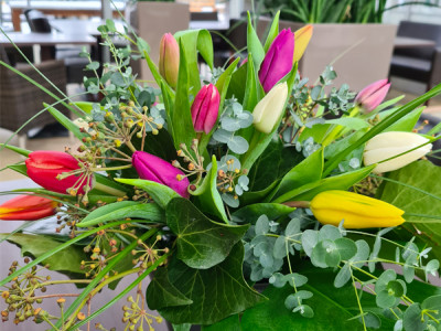 Tulpenstrauß