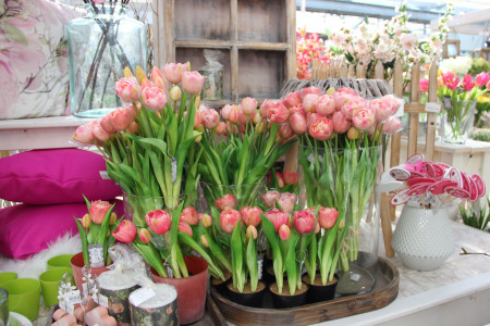 Rostock Gartencenter | Dekoration