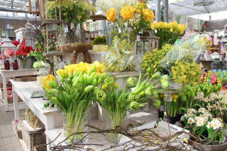 Rostock Gartencenter | Dekoration