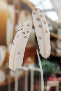 Rostock Gartencenter | Geschenke