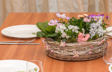 Rostock Gartencenter | Geschenke