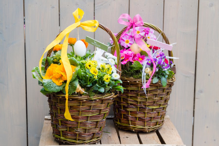 Rostock Gartencenter | Geschenke