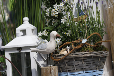 Rostock Gartencenter | Geschenke
