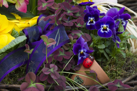 Rostock Gartencenter | Geschenke