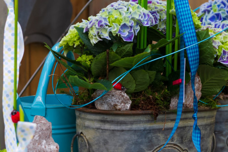 Rostock Gartencenter | Geschenke
