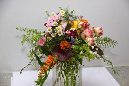 Rostock Gartencenter | Geschenke