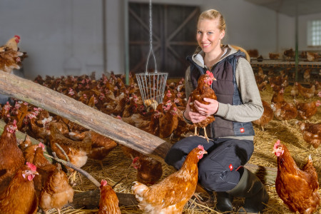 Rostock Gartencenter | Ganz nah dran – entdeckt Emils Landmarkt