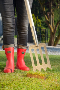 Rostock Gartencenter | Pflege und Zubehör