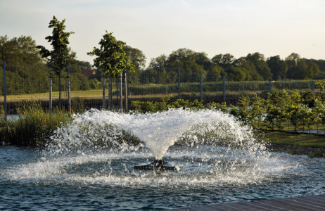 Rostock Gartencenter | Pflege und Zubehör