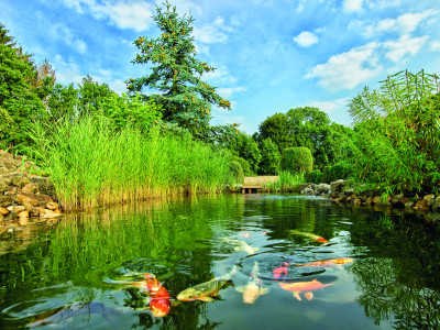 Rostock Gartencenter | Pflege und Zubehör