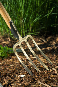 Rostock Gartencenter | Pflege und Zubehör